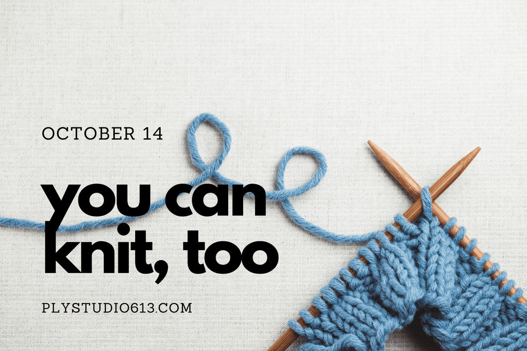 Knitting for the Uninitiated: Beginner Knitting - October 14th (in-person) - Ply Studio 