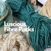 Load image into Gallery viewer, luscious fibre pack ply studio yarn handspun bulky 
